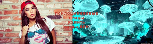 apvp Пересвет